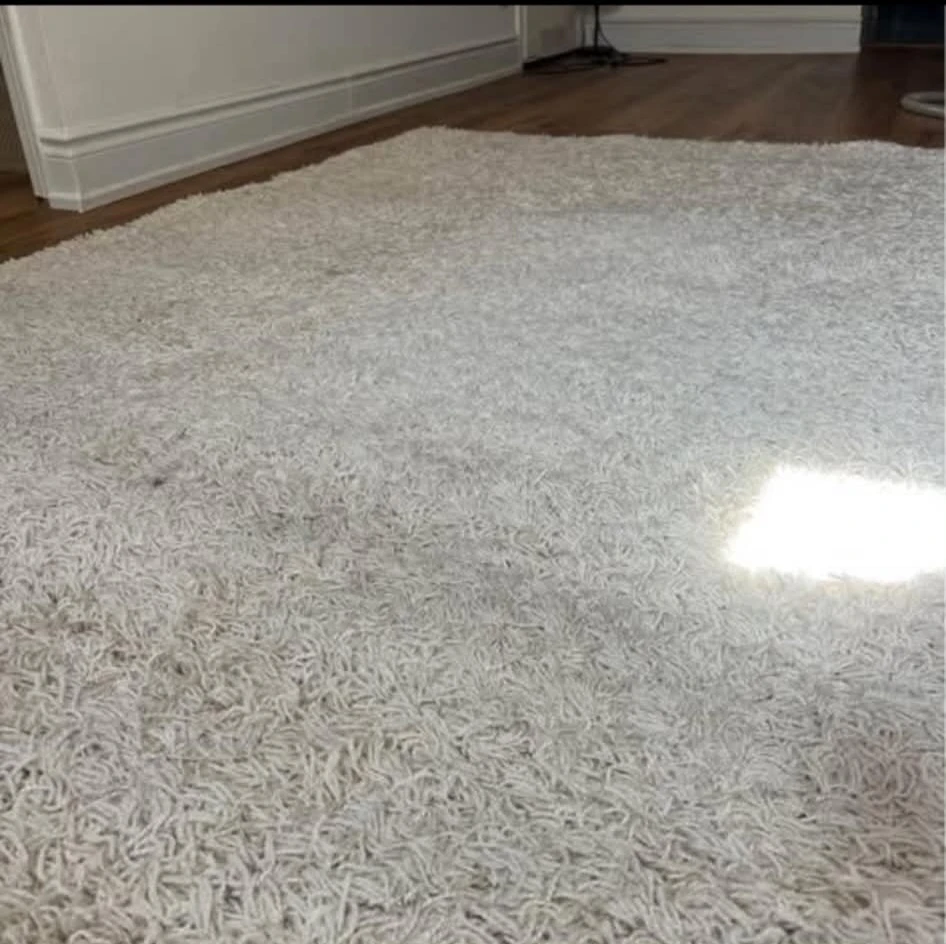 Comfortable Ivory White Shag Rug - photo 3