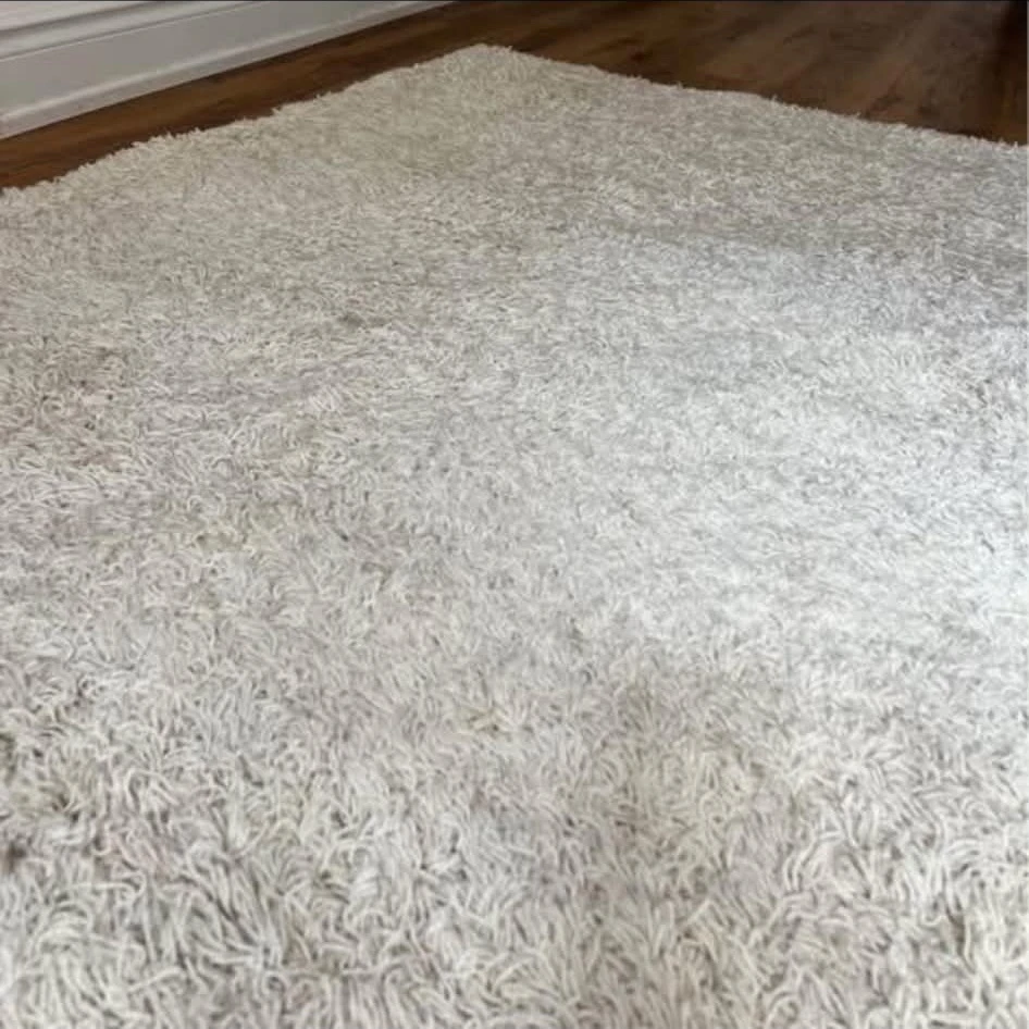 Comfortable Ivory White Shag Rug - photo 4