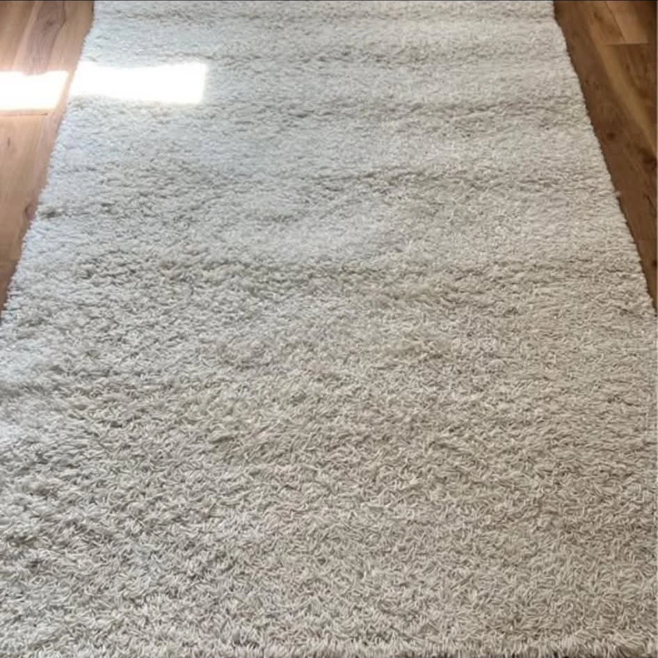 Comfortable Ivory White Shag Rug - photo 5