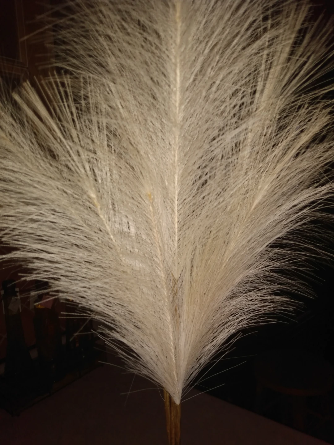 3  Stems Dried Decorative Pampas Grass - photo 2