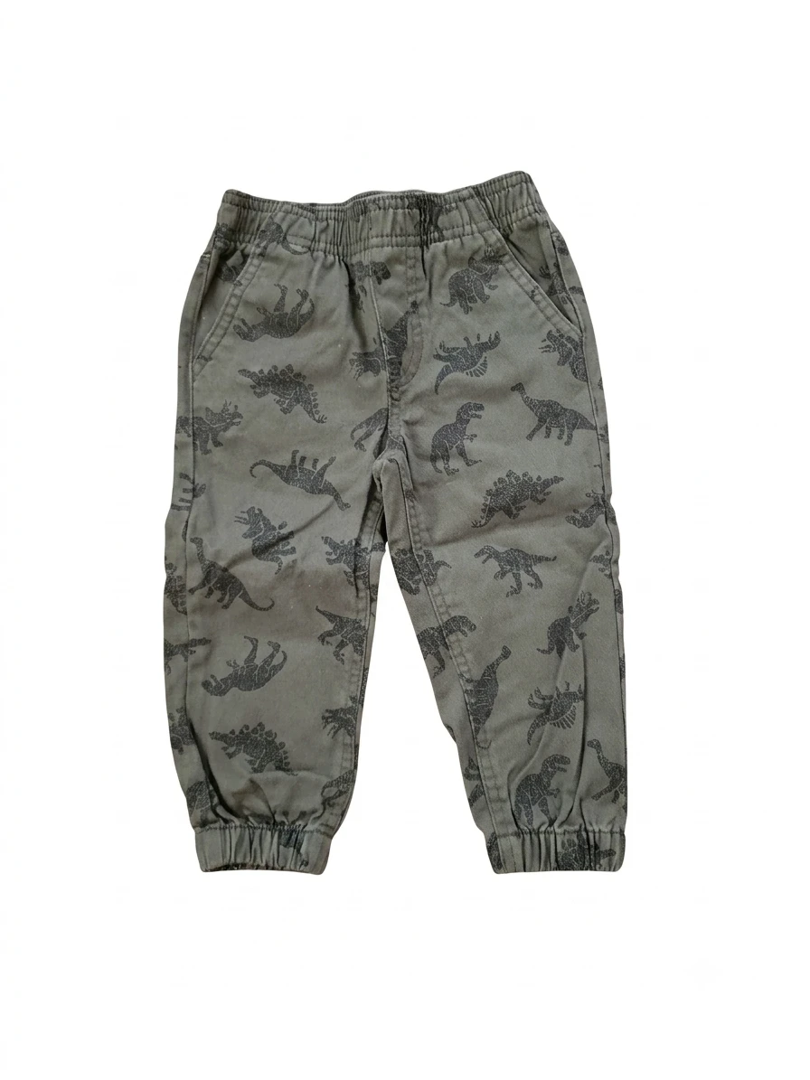 Kids Dinosaur Print Jogger Pants