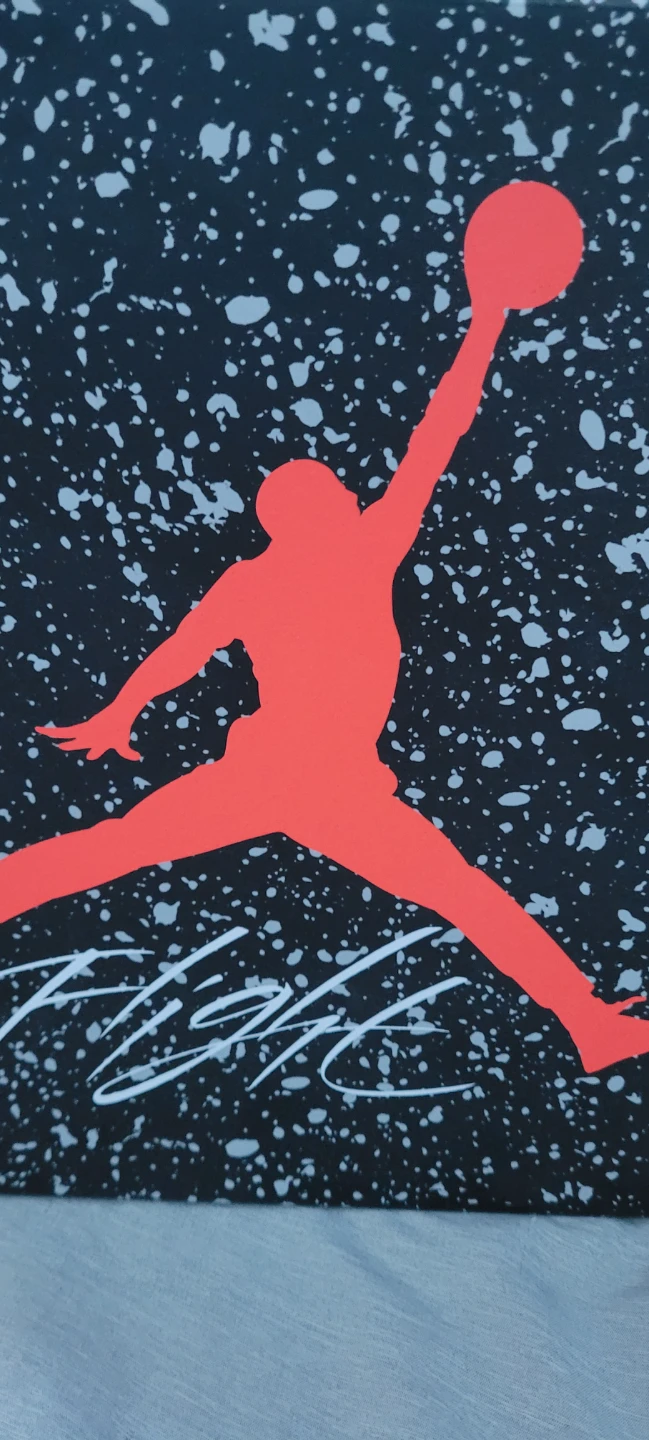 Jordan Spizike Low - photo 4