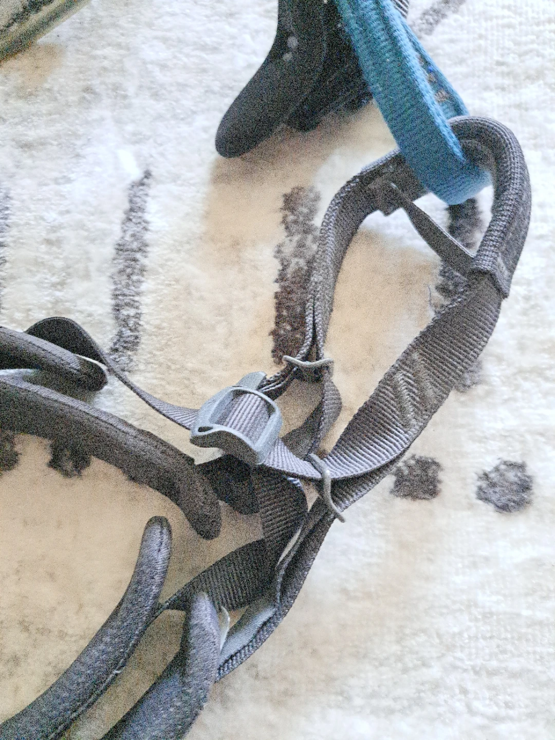 Black Diamond Climbing Harness - photo 2