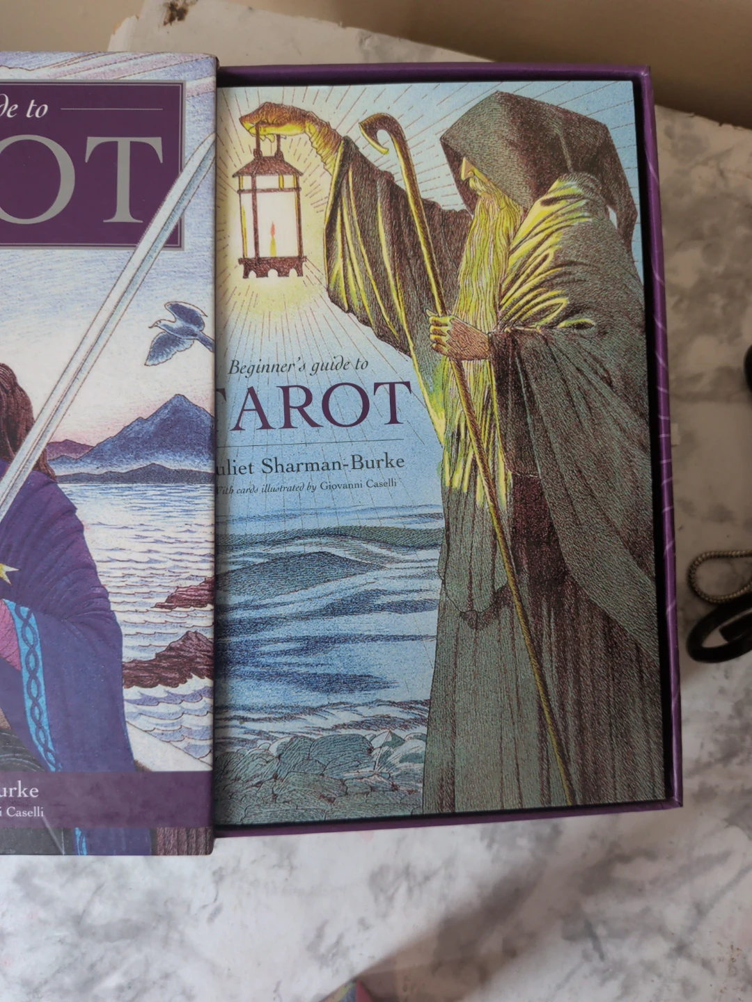 Beginner's Guide to Tarot Deck and Book Set - photo 5