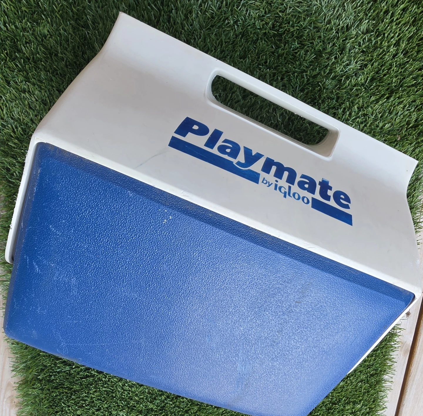 Cooler - Mid size Playmate by Igloo - photo 3