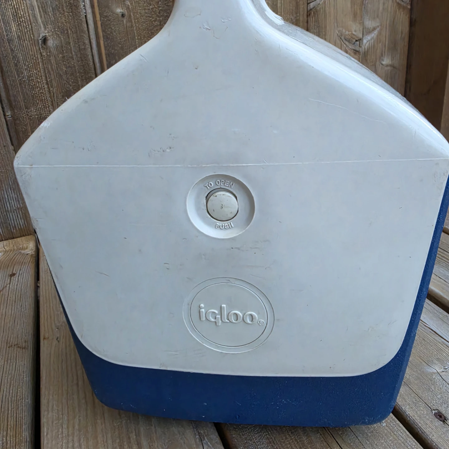 Cooler - Mid size Playmate by Igloo - photo 5
