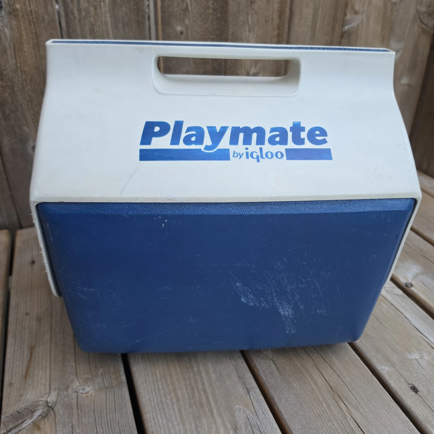 Cooler - Mid size Playmate by Igloo