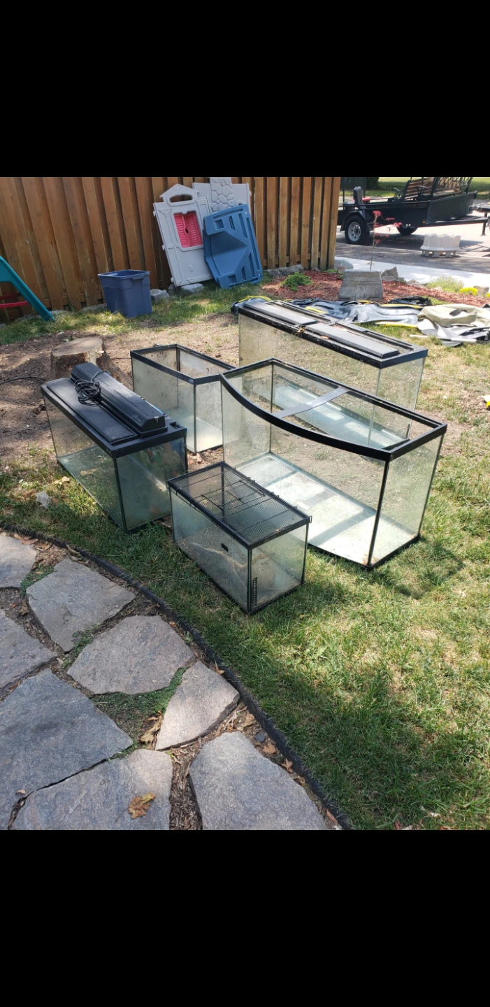 Lot of 5 Glass Aquariums/Terrariums
