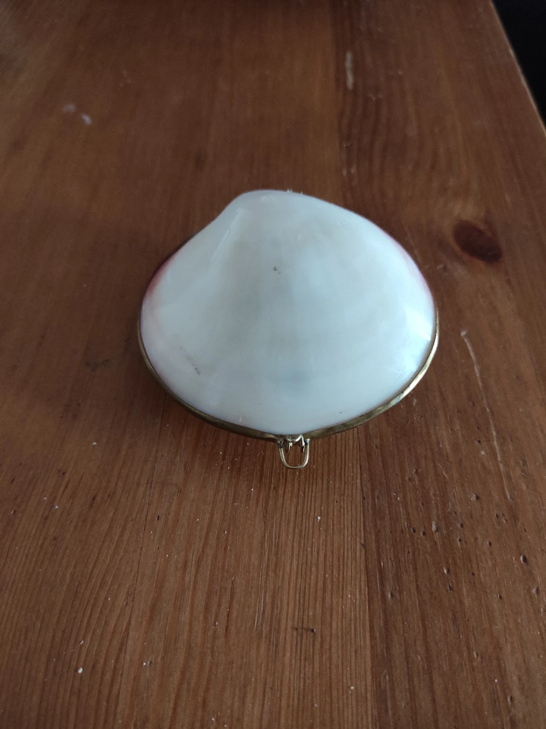 Sea shell container