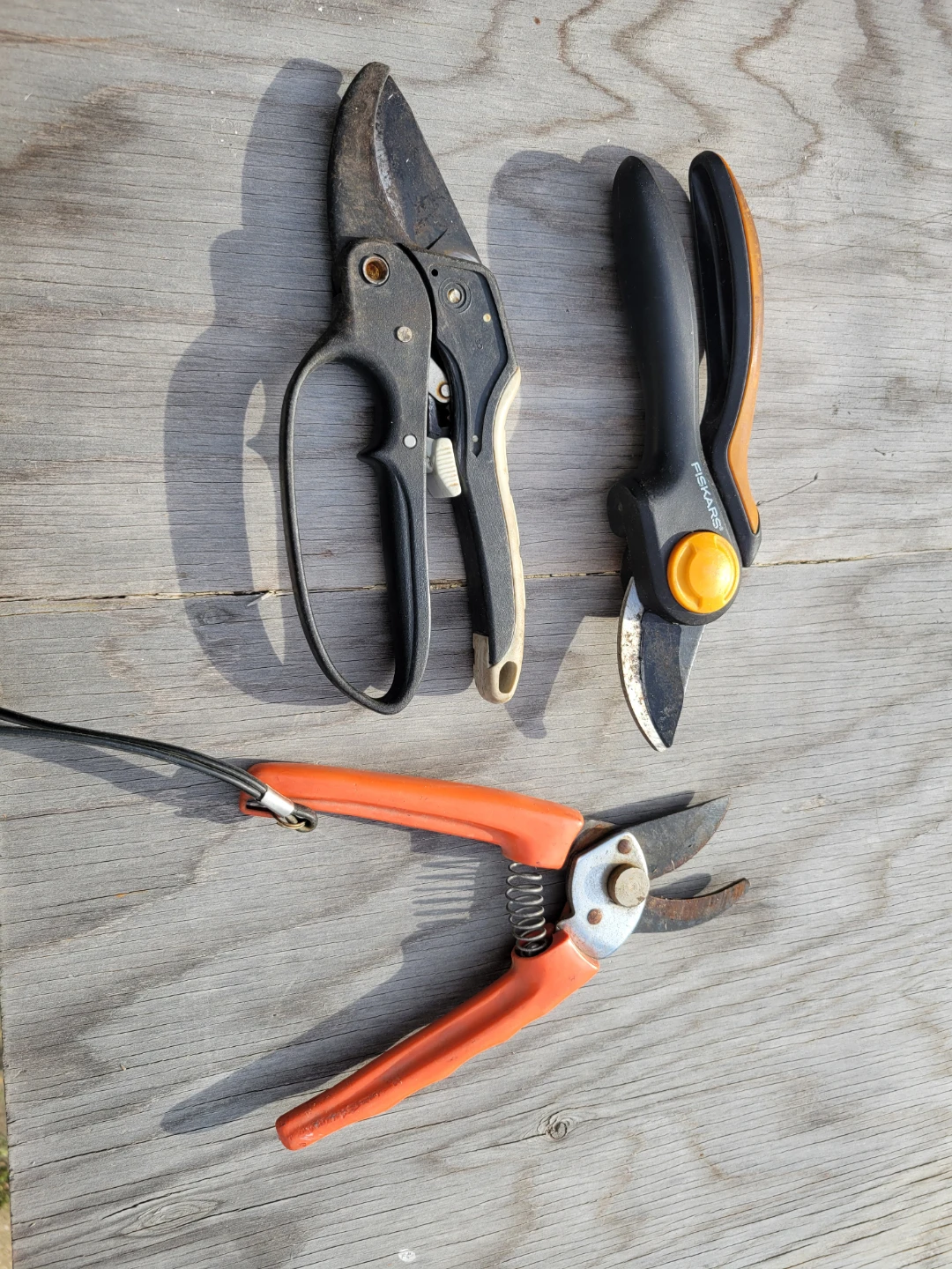 Gardening Pruners Lot