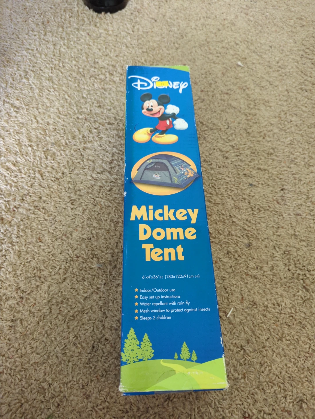 Disney Mickey Dome Tent