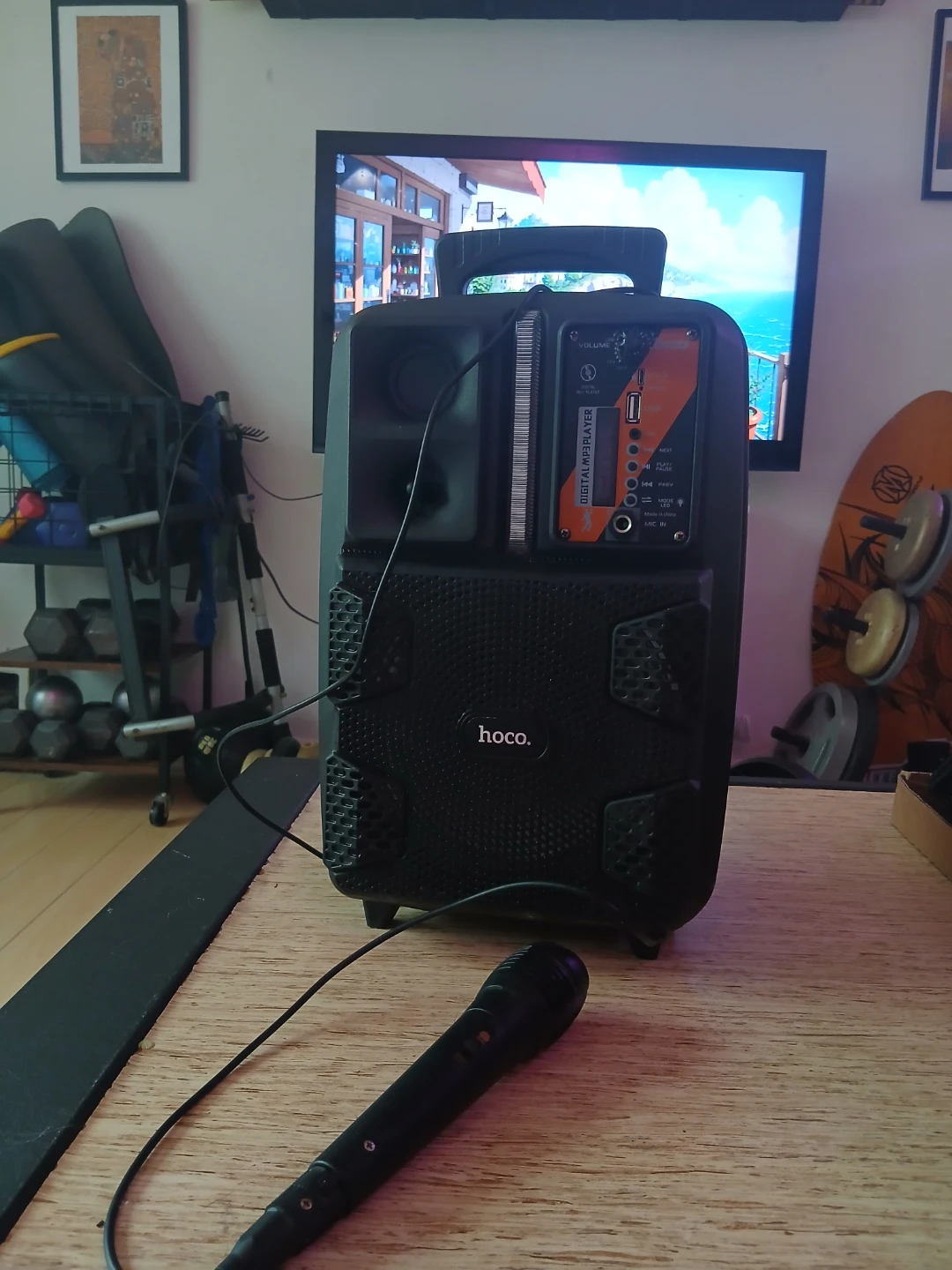 HOCO Portable Speaker with Microphone Input