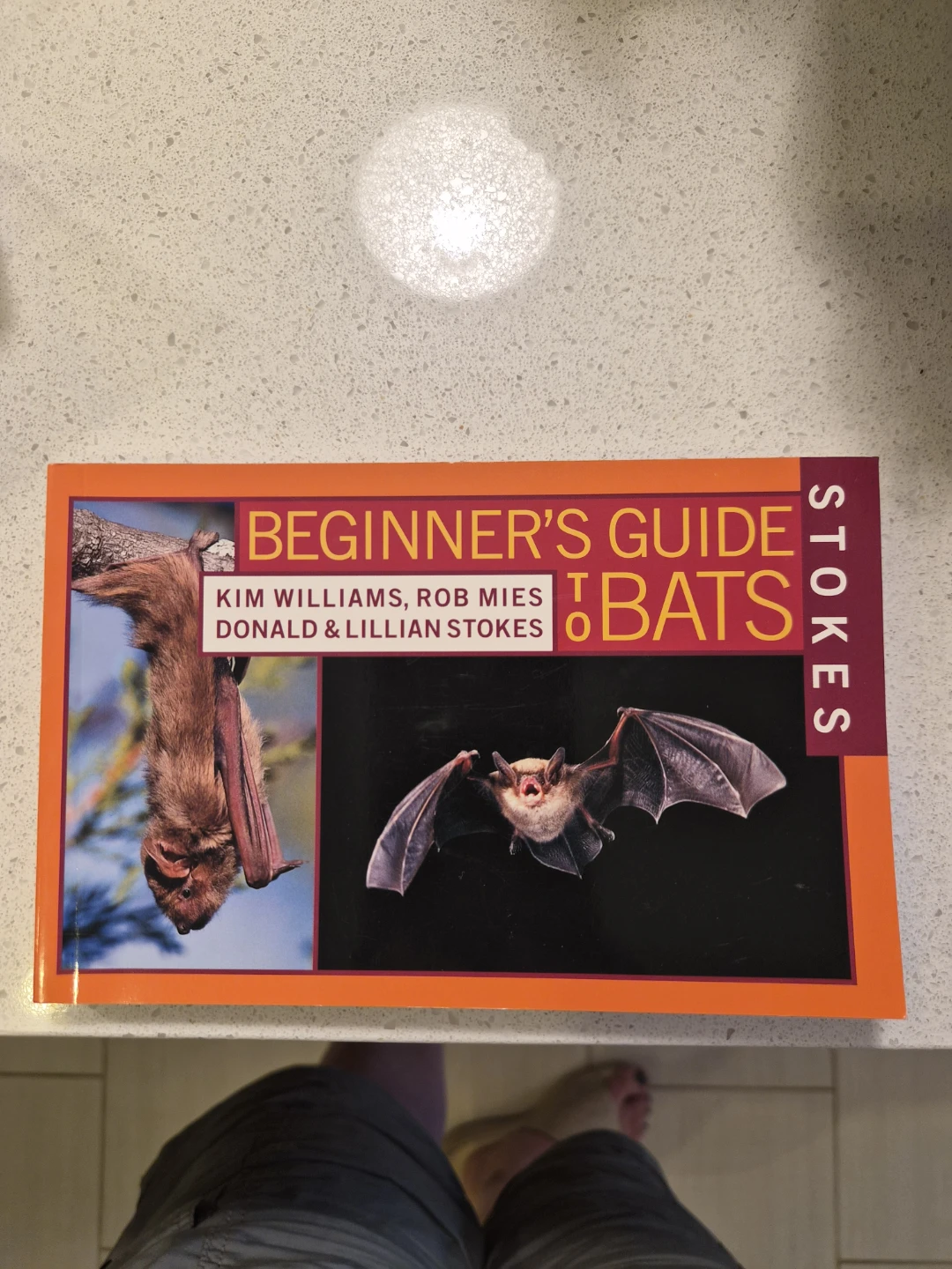 Stokes Beginner's Guide to Bats Book