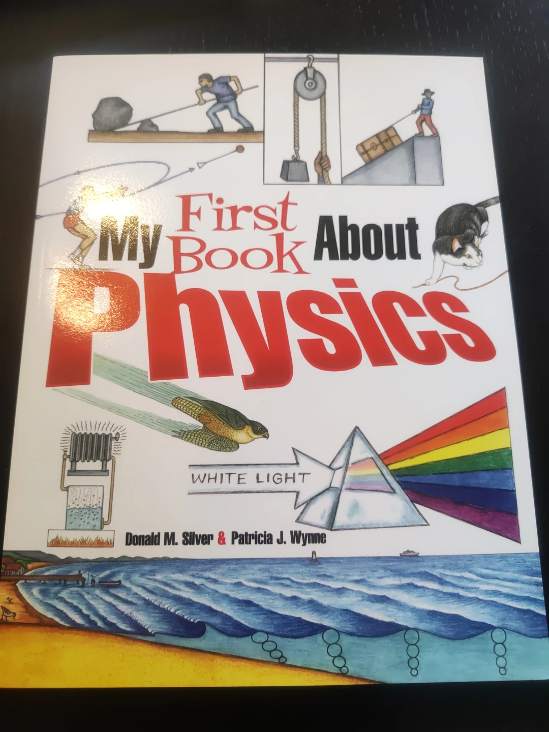 My First Book About Physics Book