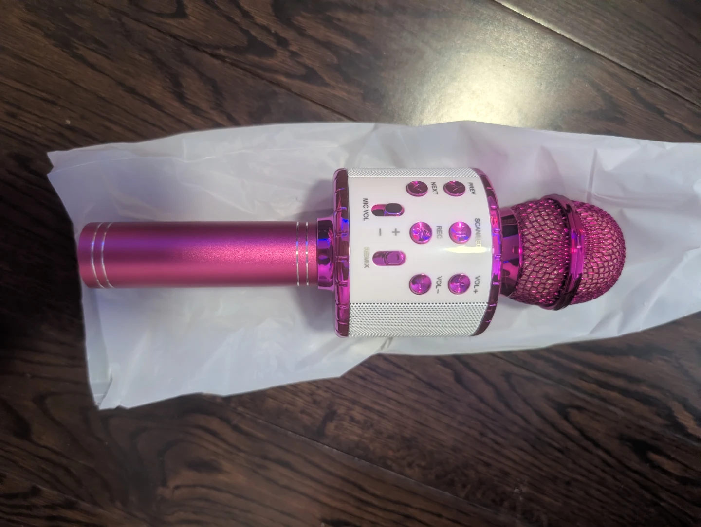 Fede Karaoke Microphone