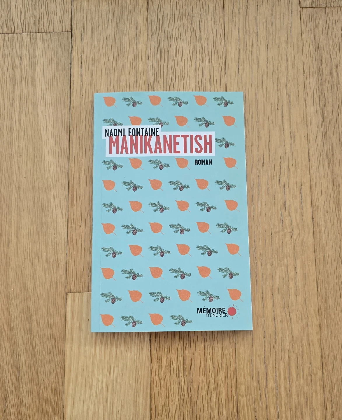 Manikanetish by Naomi Fontaine Novel