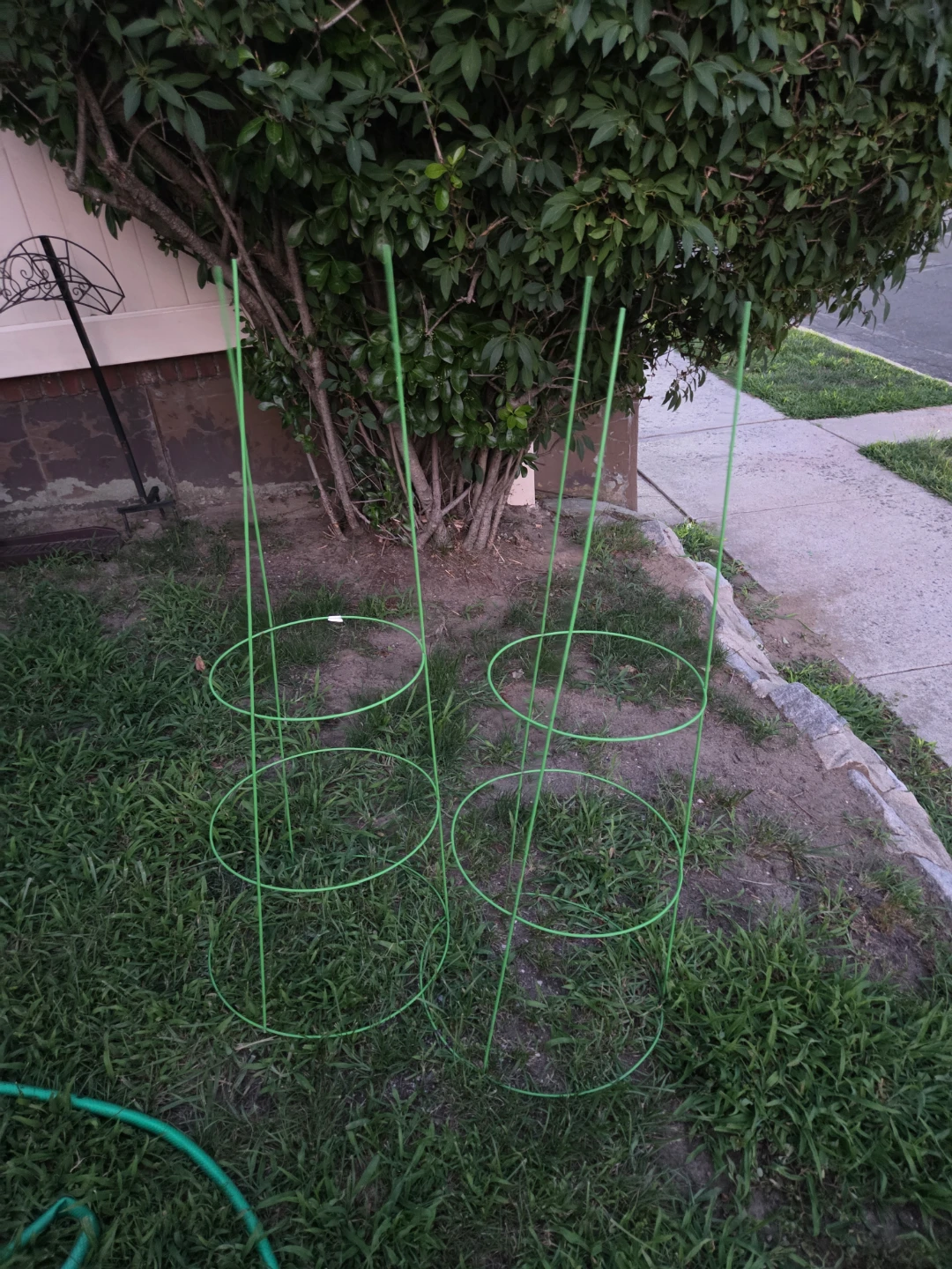 Green Tomato Cages (Set of 3)
