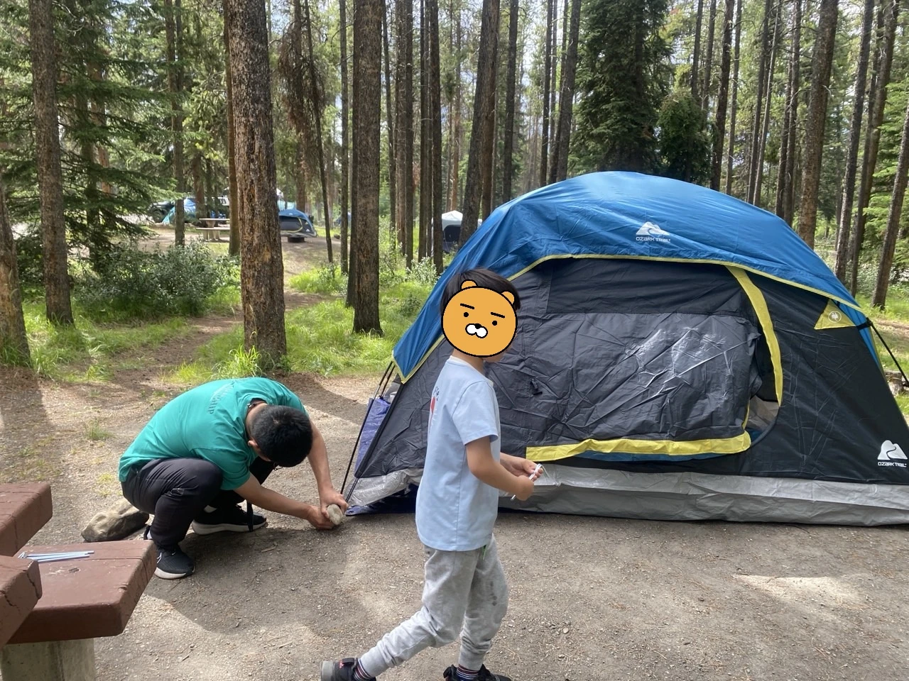 Ozark Trail 4‑Person Dome Tent for sale - photo 3