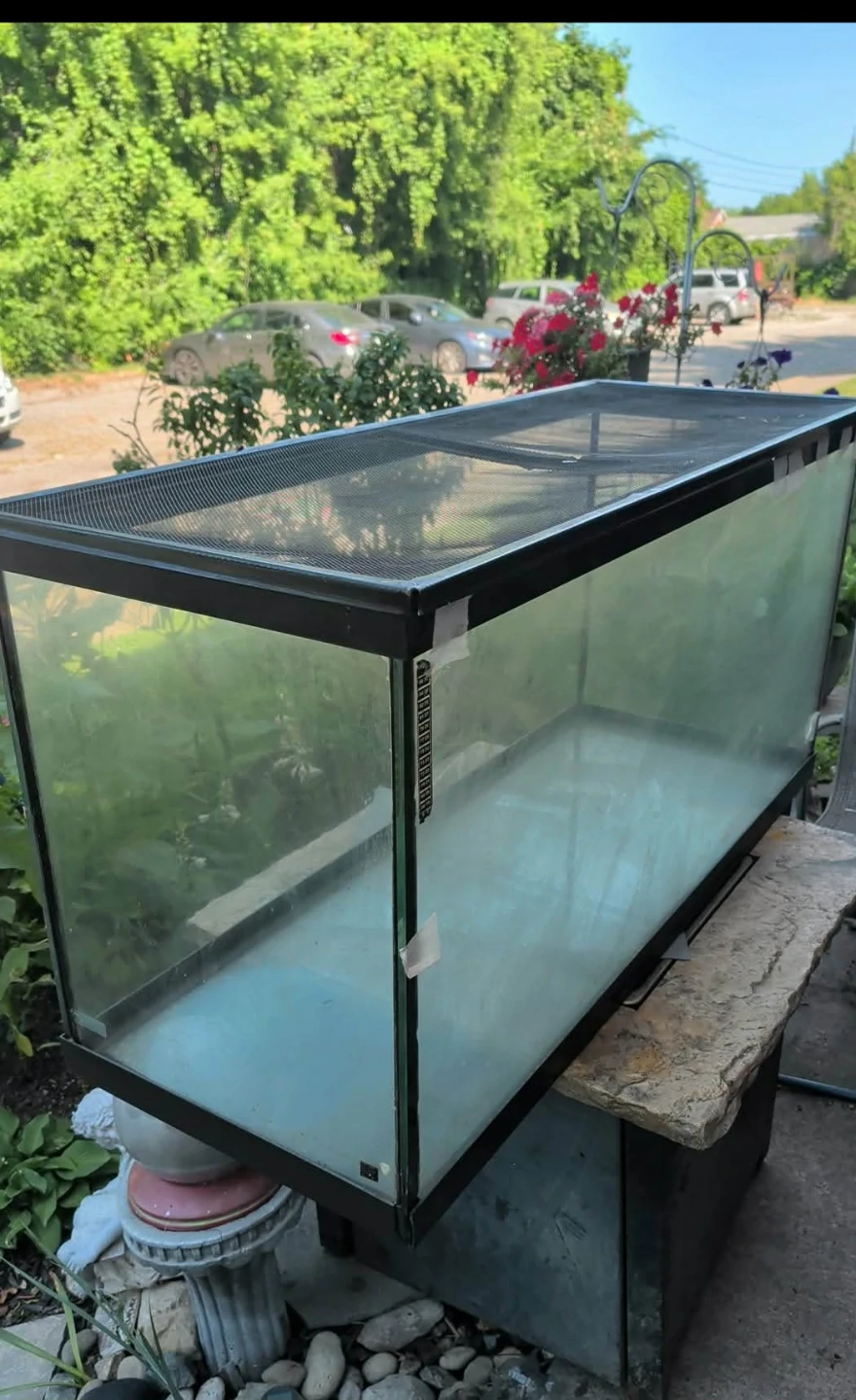 Large Glass Aquarium Tank with Mesh Lid