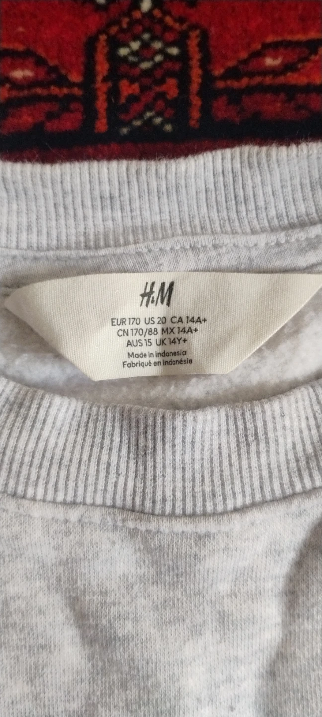 H&M Grey and Lavender Crewneck - photo 2