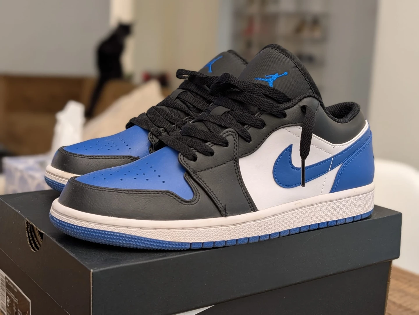 Air Jordan 1 Low Royal Blue Black White Sneakers