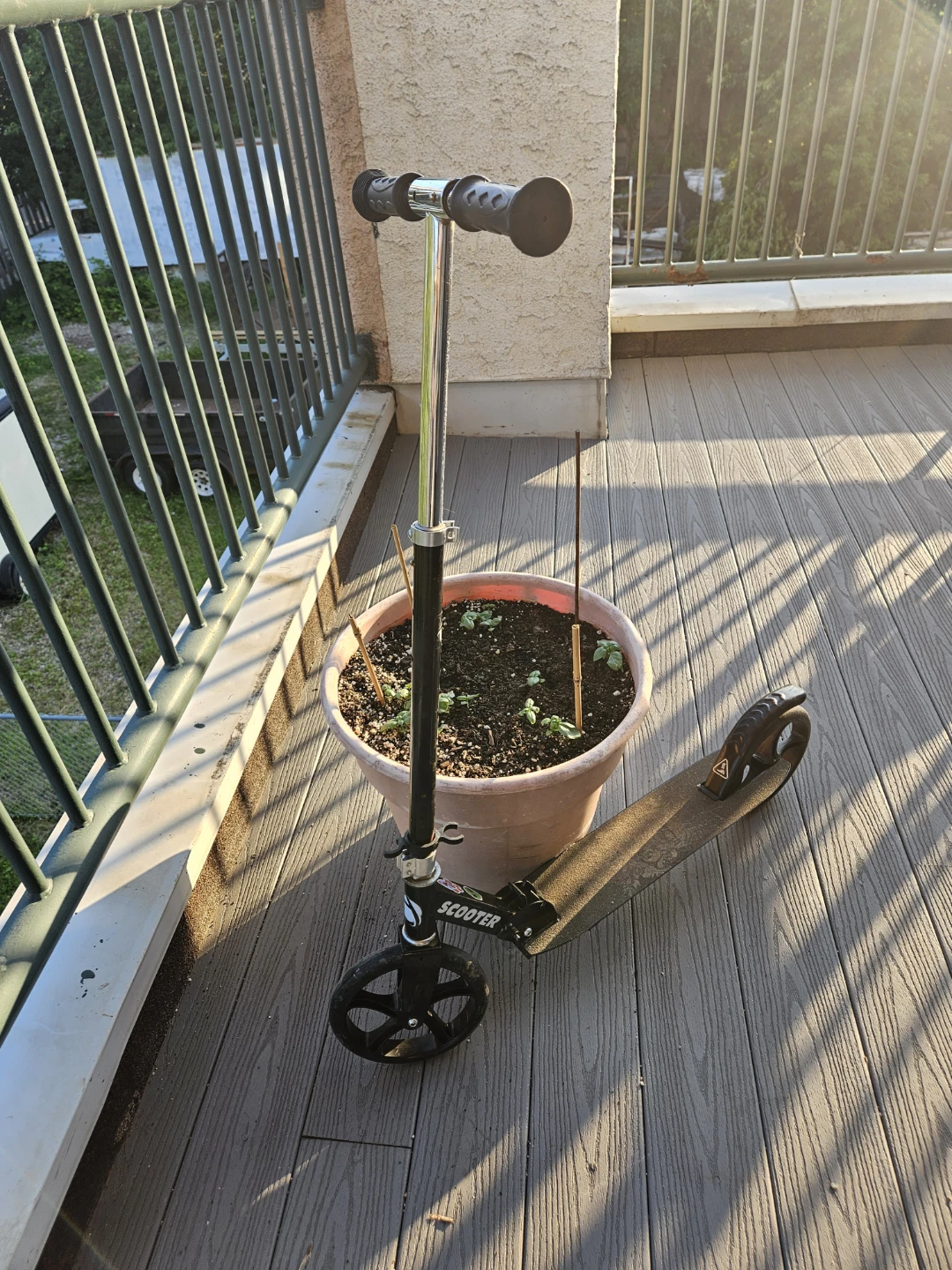 Scooter for Adults