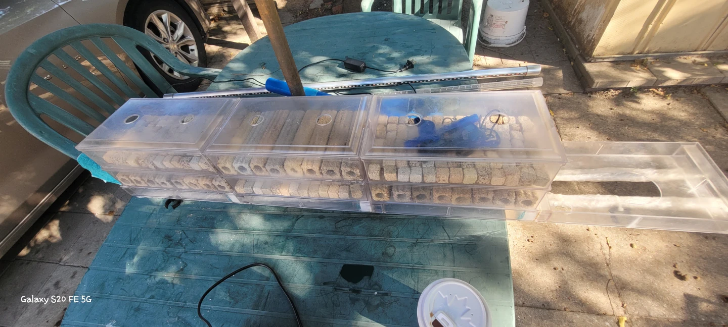 Aquarium Filter Media Box with Media