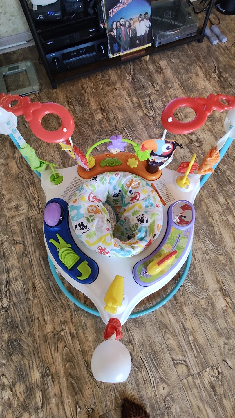 Fisher-Price Animal Activity Jumperoo - photo 3