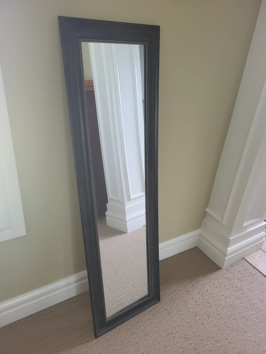 Tall Dark Framed Mirror