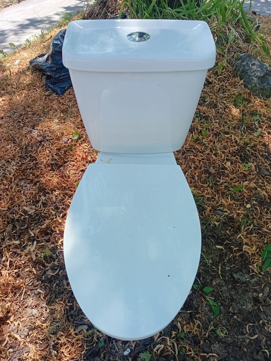 White Toilet Bowl - photo 2