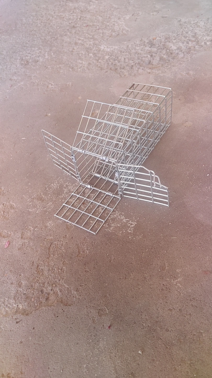Metal Humane Live Animal Trap - photo 2