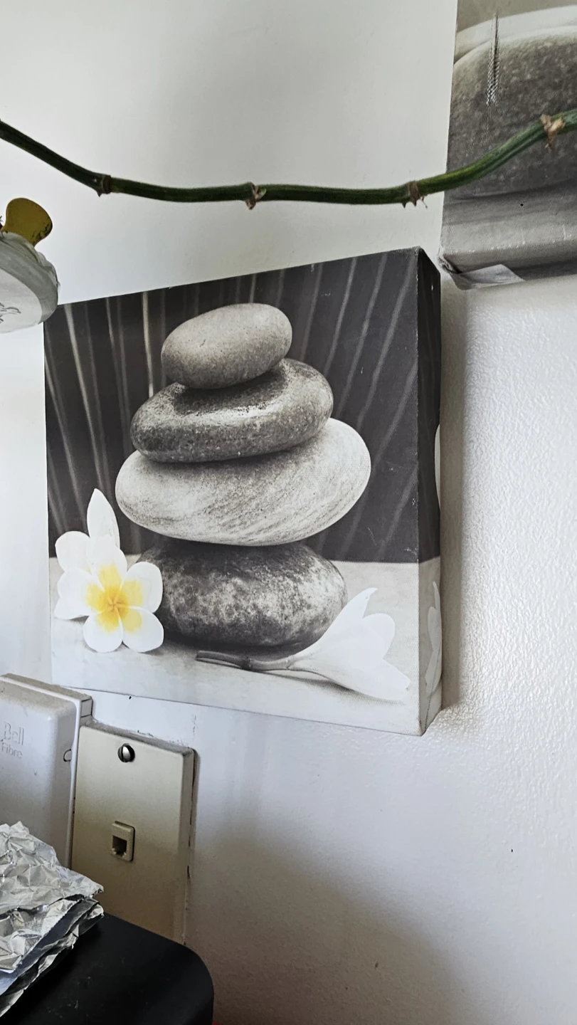Zen Stone and Flower Canvas Art Prints - photo 4
