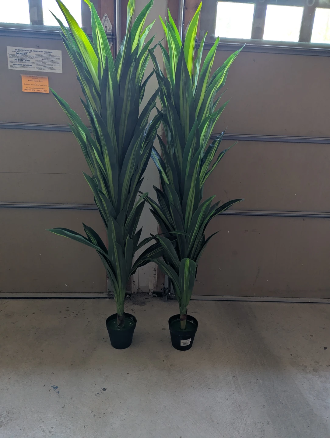 Two Artificial Plants - 5ft tall