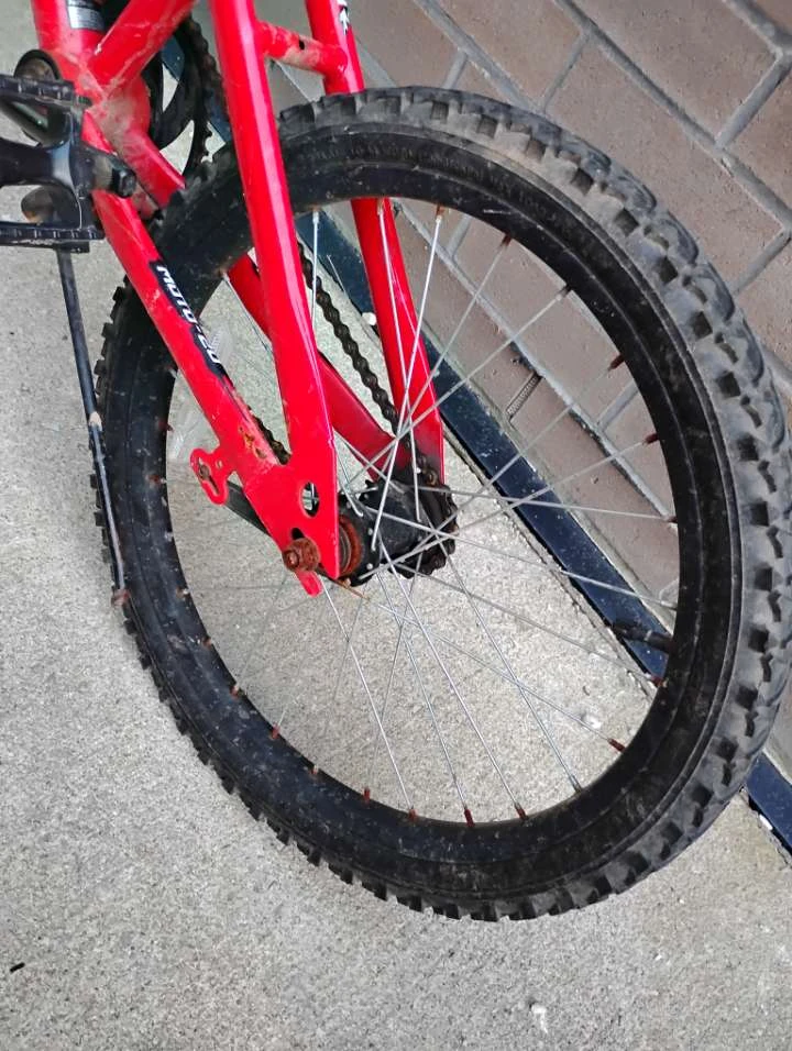 Pacific Moto-20 Bicycle - photo 3