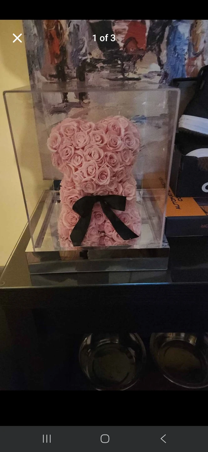 Pink Rose Bear in Clear Display Box