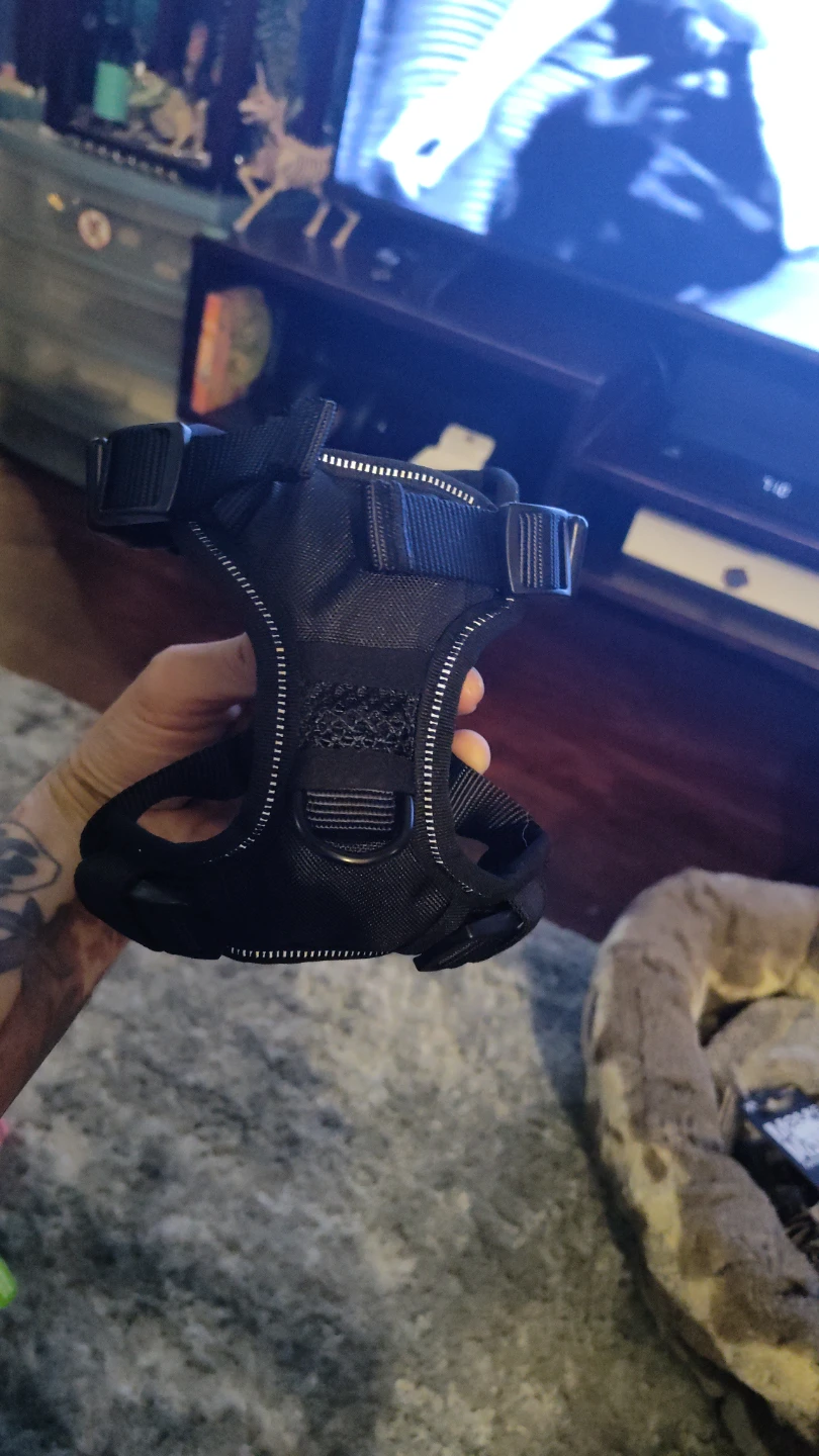 Black Dog Harness - photo 3
