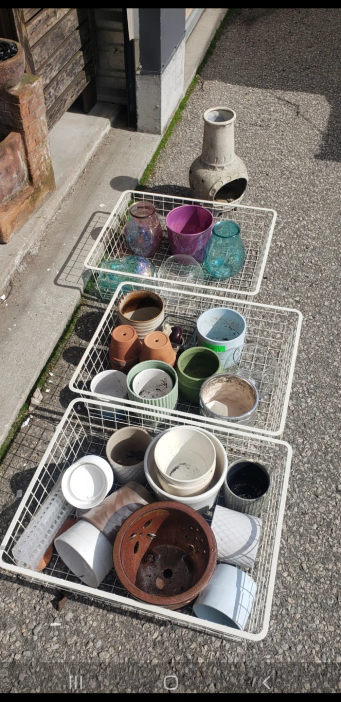 Assorted Plant Pots and Vases