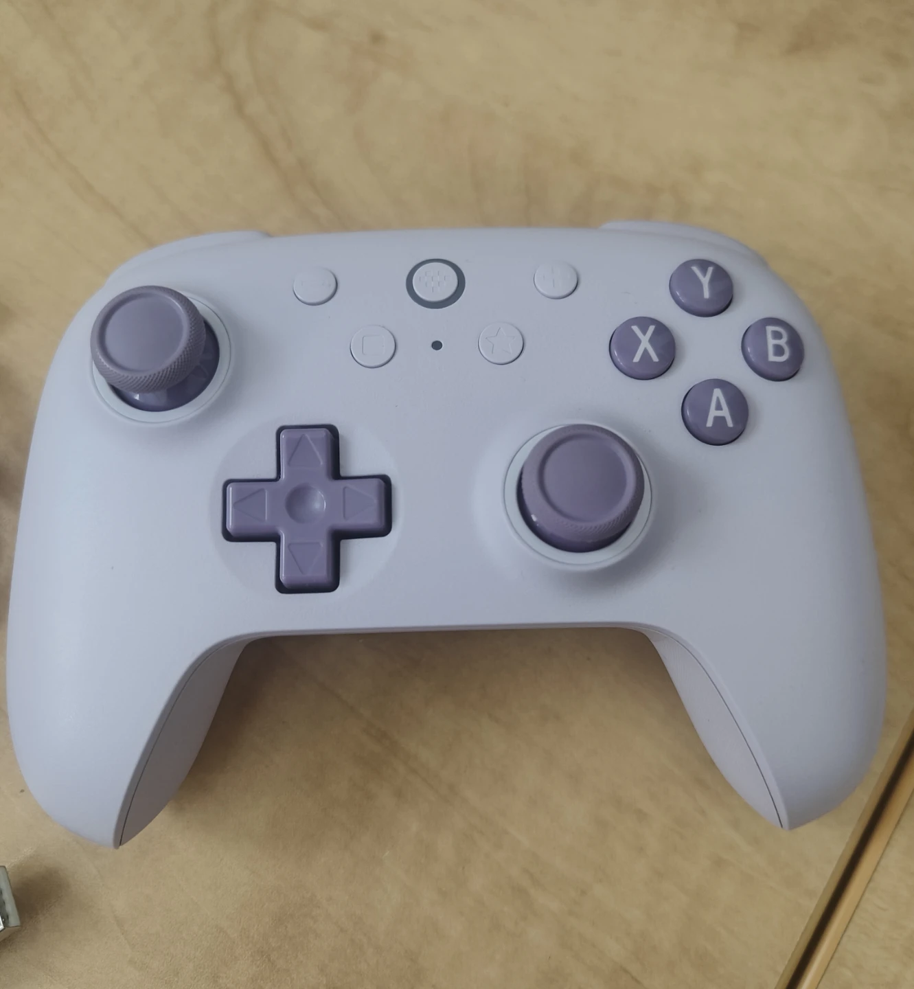 Wired Controller for PC