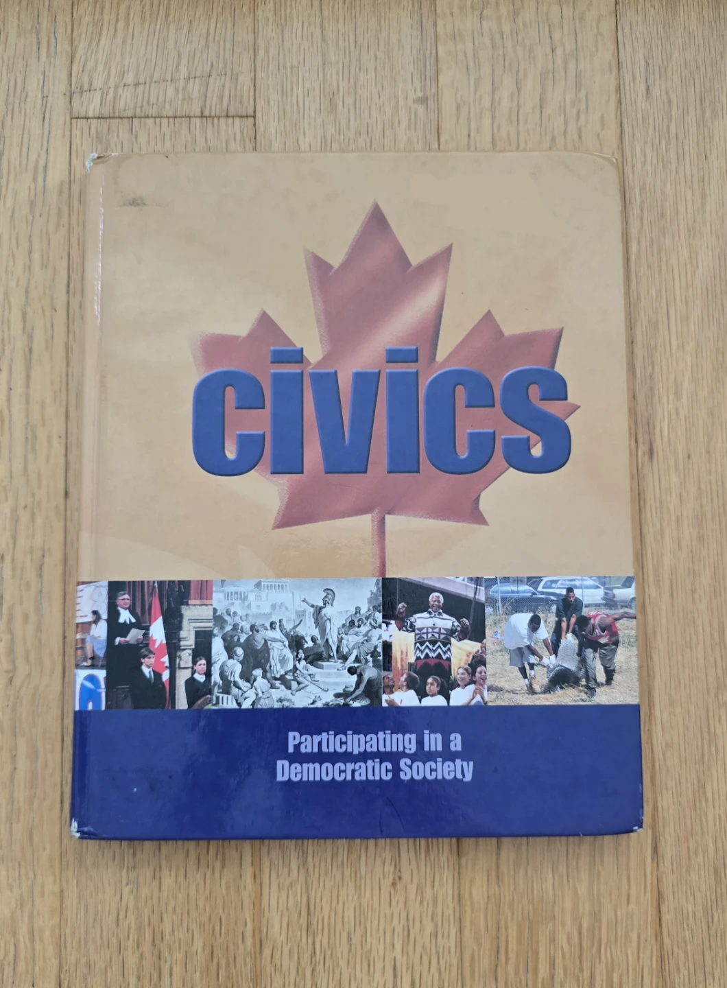 Civics: Participating in a Democratic Society Textbook