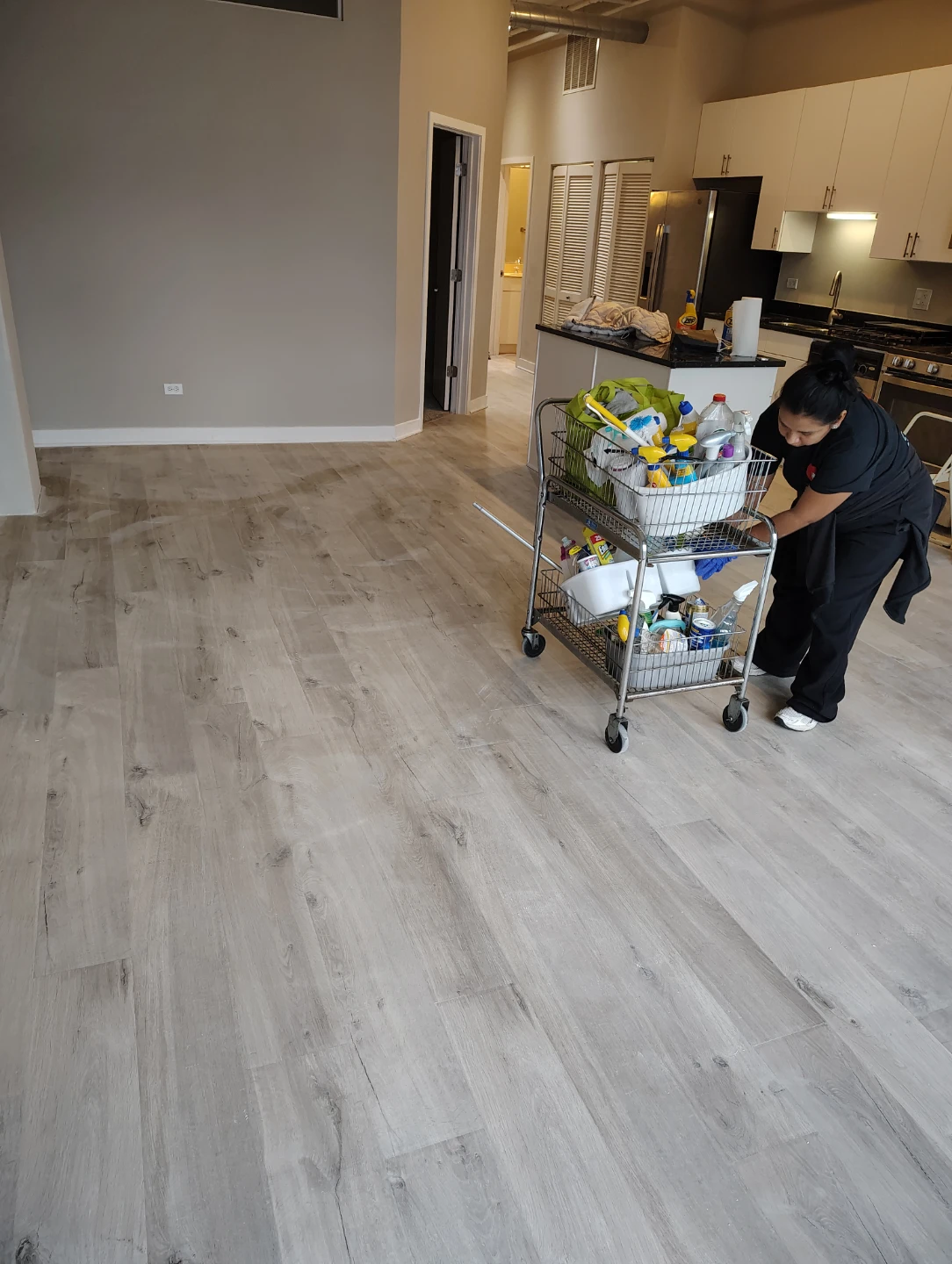 Cleaning services - photo 2