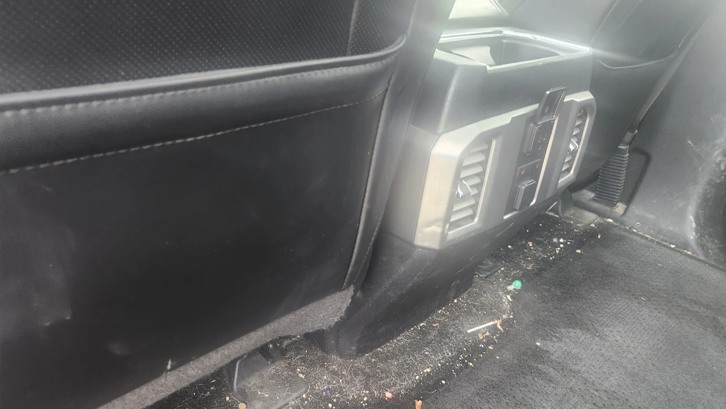 Car Detailing Edmonton - photo 3