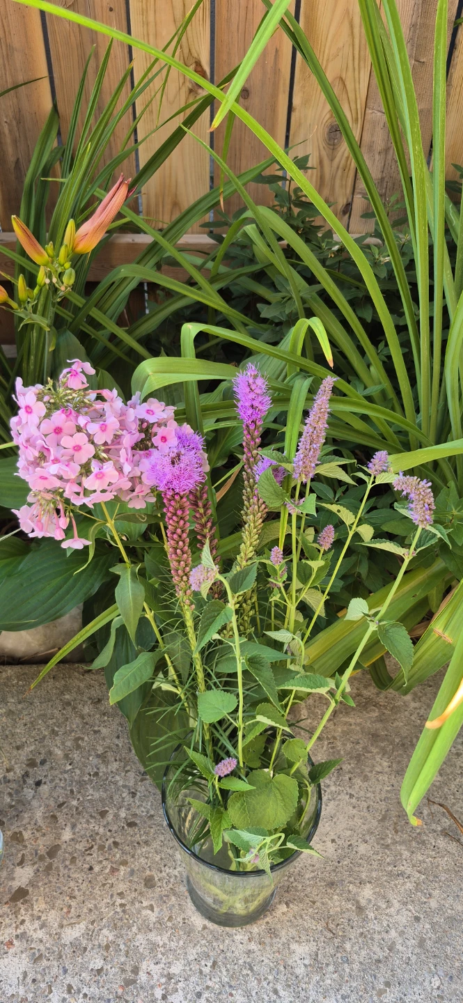 Cut flowers for sale
