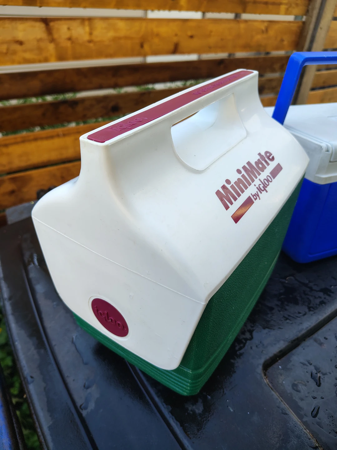 Coleman IGLOO lunch Coolers Super clean 🫧 - photo 2