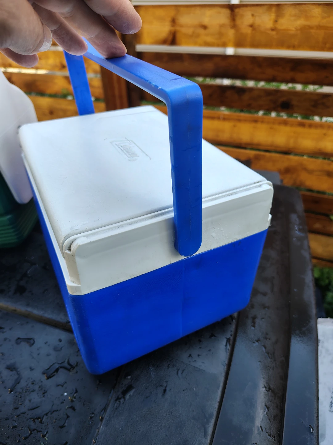 Coleman IGLOO lunch Coolers Super clean 🫧 - photo 3