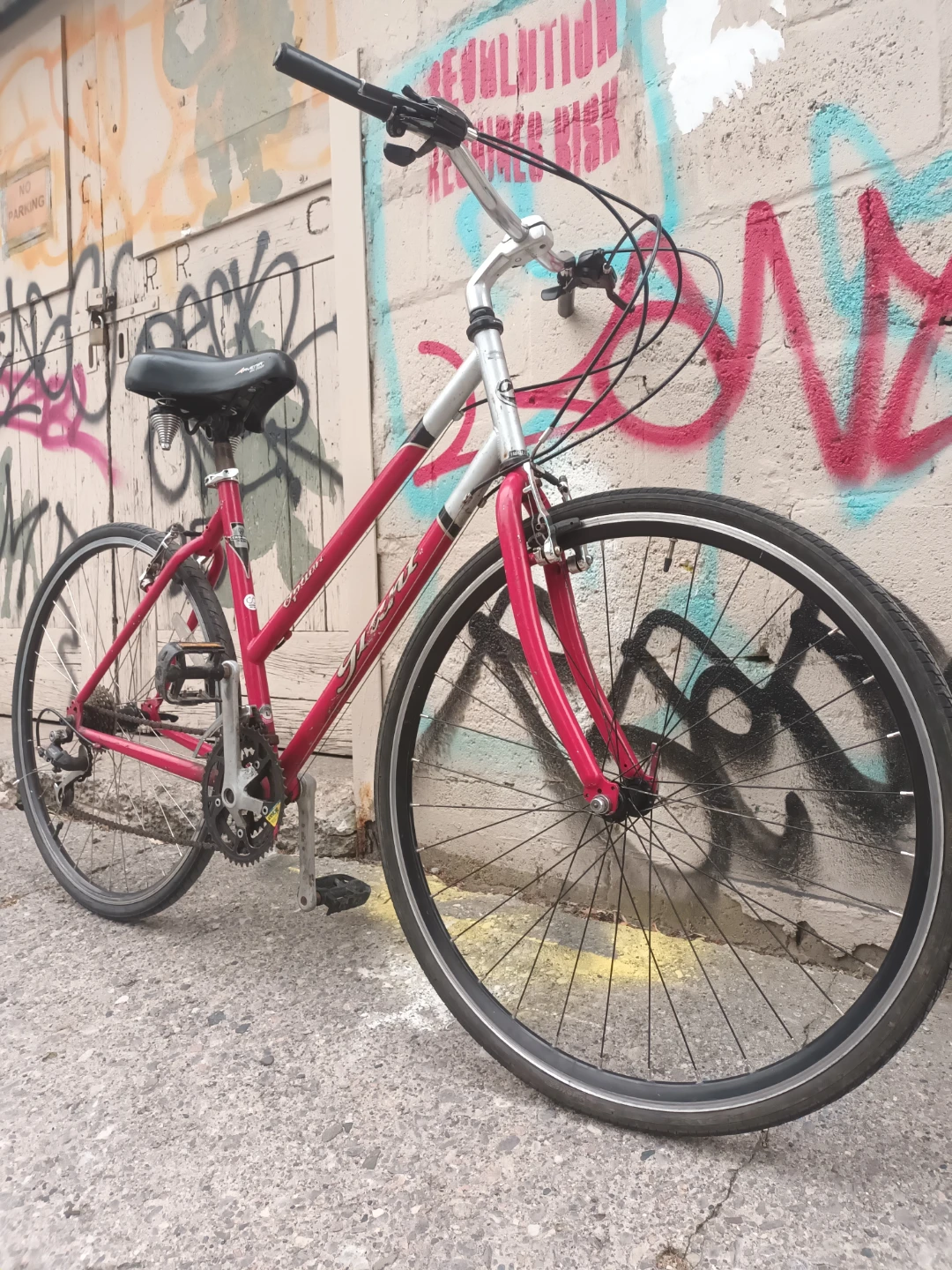 Giant Bike