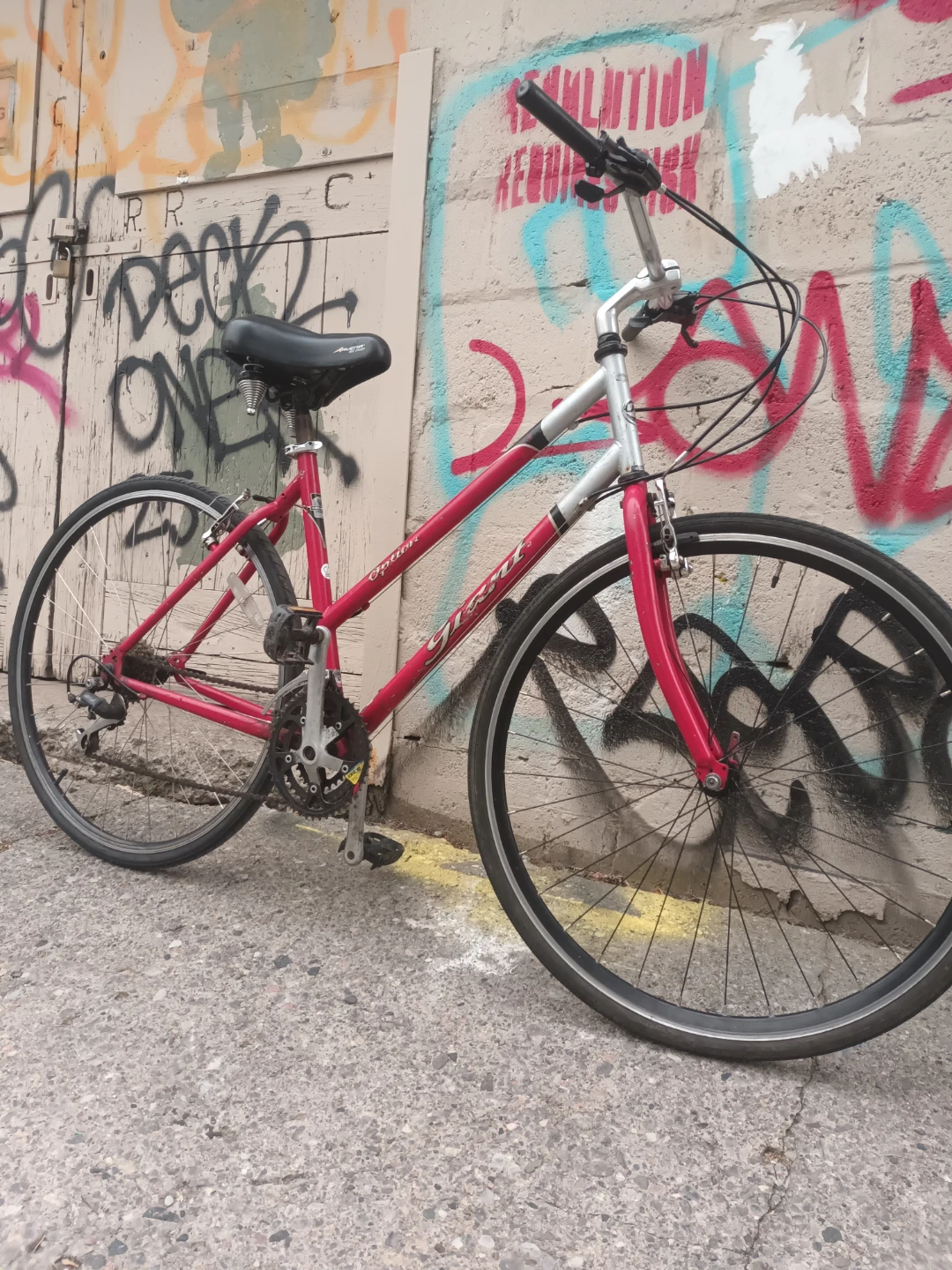 Giant Bike - photo 2