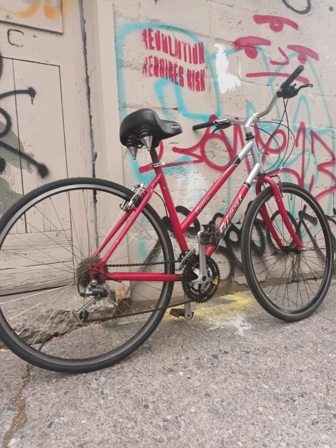 Giant Bike - photo 4