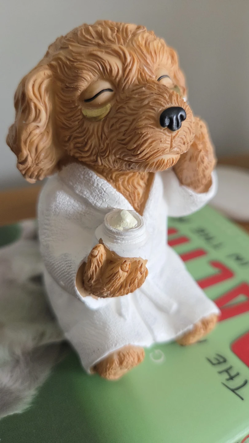 Dog & Girl Figurines – Resin Statue Sculture Various Styles *new - photo 5