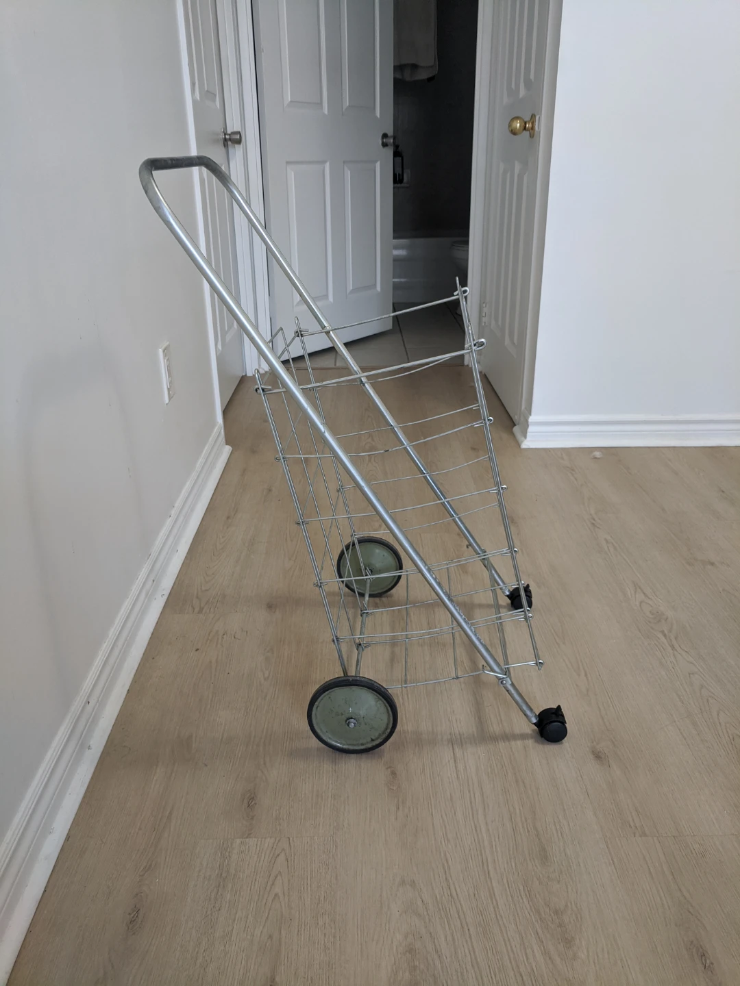 Small Metal Shopping Cart