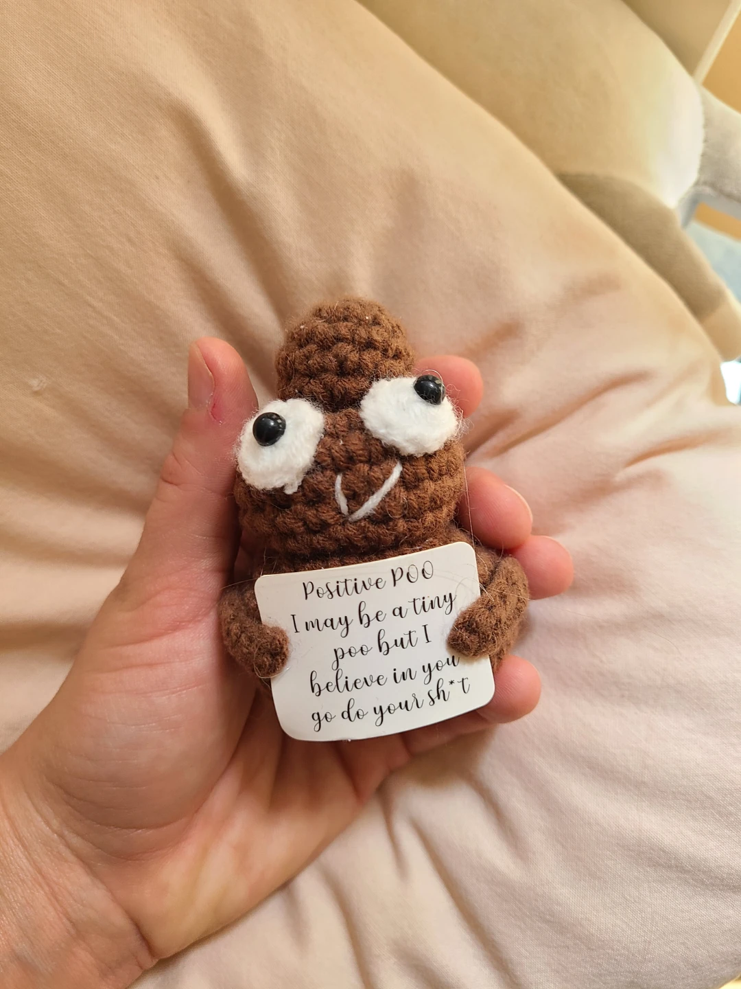 Crocheted "Positive Poo" Toy
